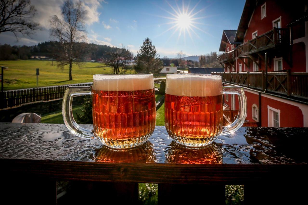 Hotel Penzion Vyton Přední Výtoň Zewnętrze zdjęcie